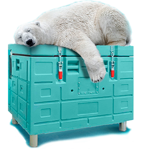 ours-polaire ours-polaire